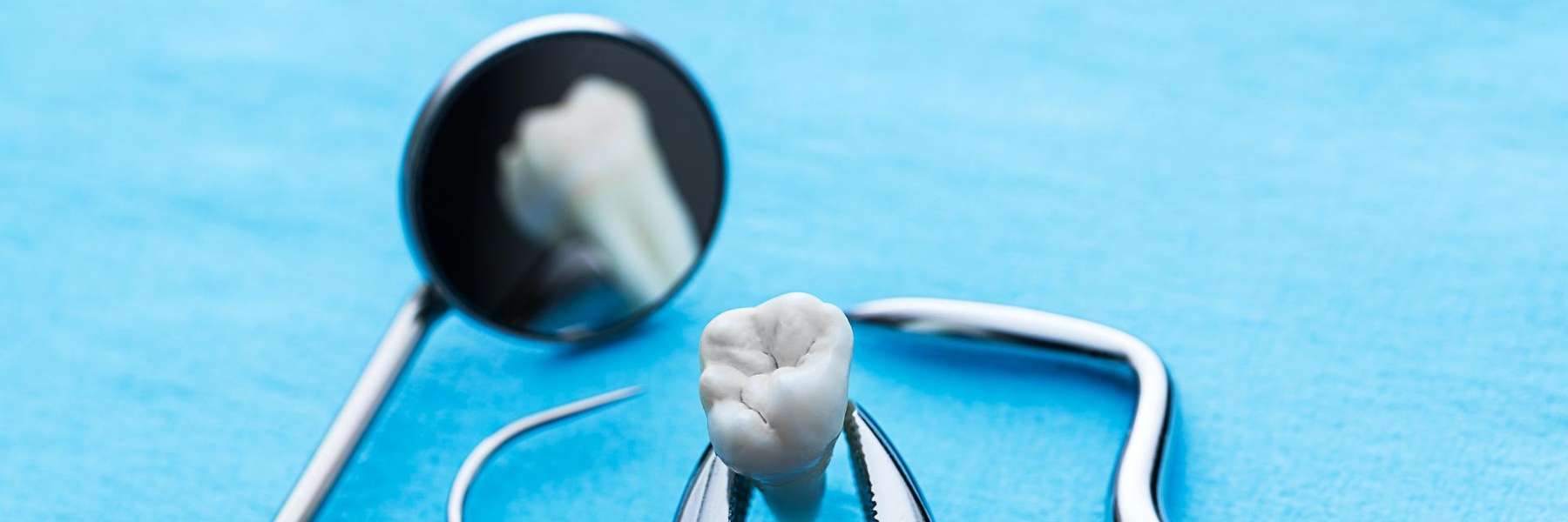 Dental tools holding a tooth, lindenhurst ny